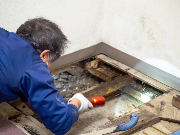 Best Crawl Space Mold Remediation in Mechanicstown, NY